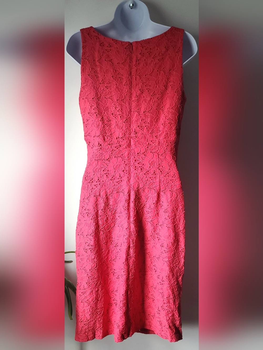Lauren Ralph Lauren Coral Red Lace Sheath Dress Size 8 Cocktail Wedding Feminine - Picture 2 of 7